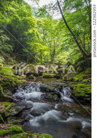 Fresh greenery at Akame Shijuhachitaki Falls [A mountain stream along the promenade] 122982954