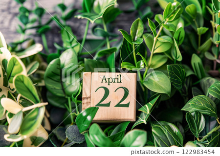 Wooden calendar with date April 22 and green plants. Earth Day concept Wooden calendar with date April 22 and green plants. Earth Day concept 122983454