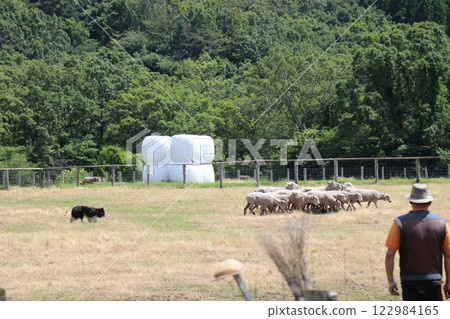 大分縣山波牧場九重山波牧場國立公園 122984165