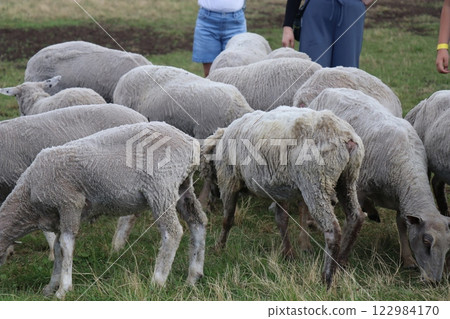 Kokonoe Yamanami Ranch National Park, Yamanami Ranch, Oita Prefecture 122984170