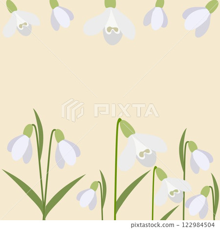 Spring first delicate flowers background. Banner with snowdrops, floral decor. Blooming plants, stems, buds. Botanical background, texture design for textile, fabric, packaging. Vector illustration Spring first delicate flowers background. Banner with snowdrops, floral decor. Blooming plants, stems, buds. Botanical background, texture design for textile, fabric, packaging. Vector illustration 122984504