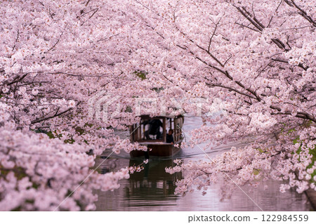 拍攝京都市伏見區中書島的櫻花大道和穿梭的船隻,這裡是充滿歷史與氛圍的海濱勝地 拍攝京都市伏見區中書島的櫻花大道和穿梭的船隻,這裡是充滿歷史與氛圍的海濱勝地 122984559