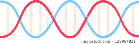 Colorful DNA double helix rotating and forming a seamless loop, symbolizing genetic inheritance, scientific research, and the building blocks of life Colorful DNA double helix rotating and forming a seamless loop, symbolizing genetic inheritance, scientific research, and the building blocks of life 122984821
