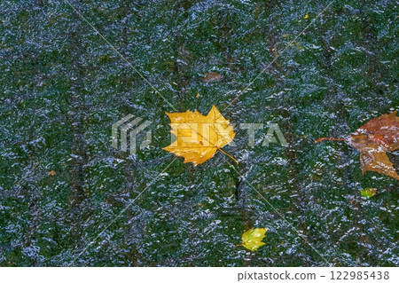 落下的梧桐樹葉漂浮在河上 122985438