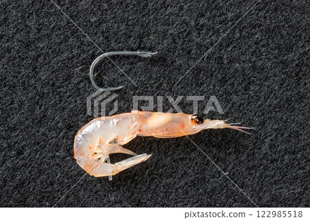 磷蝦和魚鉤 122985518