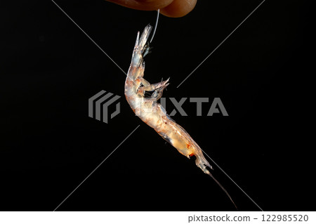 磷蝦和魚鉤 122985520