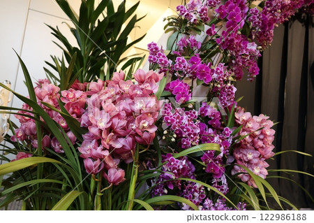 「世界蘭花展」品種繁多、色彩繽紛的蘭花 122986188