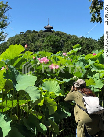 國家指定風景名勝三溪園 國家指定風景名勝三溪園 122986358