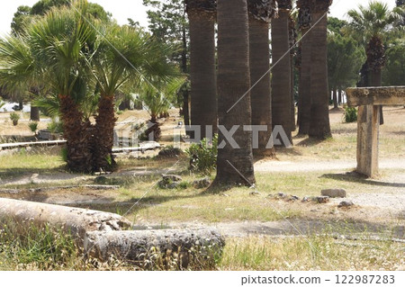 Scenery of Hierapolis ruins in Pamukkale, Türkiye 122987283