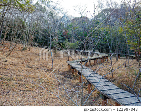 森林公園濕地步道 122987848