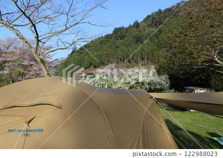 Spring camping, auto camping, Miyama thatched roof, Kyoto Prefecture 122988023