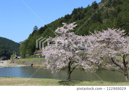 Spring camping, auto camping, Miyama thatched roof, Kyoto Prefecture Spring camping, auto camping, Miyama thatched roof, Kyoto Prefecture 122988029
