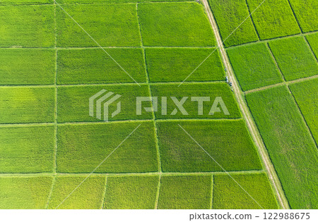 Methane emission from rice farming from traditional flooded-field. Methane emission from rice farming from traditional flooded-field. 122988675
