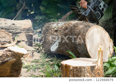 Worker cut down a fallen tree after storm with using a chainsaw. Worker cut down a fallen tree after storm with using a chainsaw. 122988679