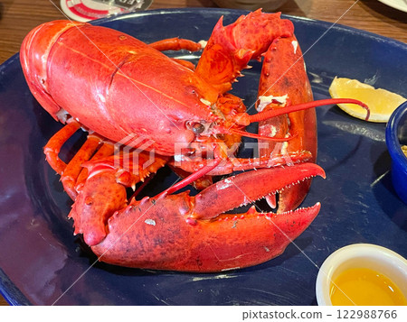 Live lobster steam 122988766