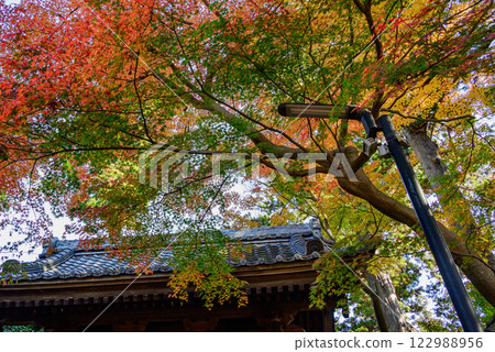 A temple covered in autumn leaves 122988956