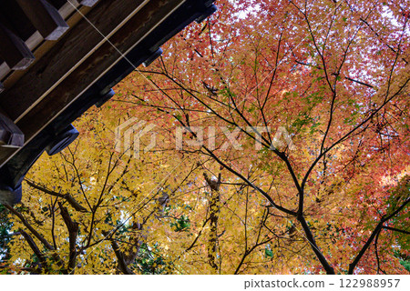 被秋葉覆蓋的寺廟 122988957