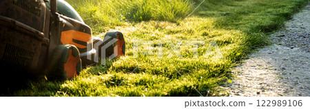 Freshly cut thick grass on the lawn, sunny day at sunset, low angle view. Green grass in the backyard, electric lawn mower 122989106