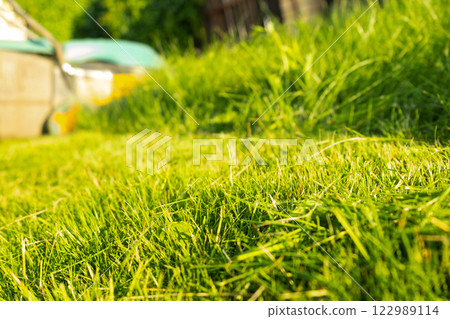 Freshly cut thick grass on the lawn, sunny day at sunset, low angle view. Green grass in the backyard, electric lawn mower 122989114