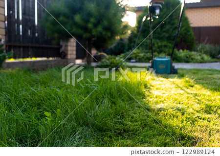 Border of the mown grass on the lawn, sunny day at sunset, low angle view. Green grass in the backyard, electric lawn mower 122989124