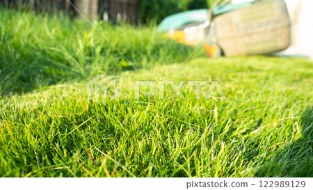 Freshly cut thick grass on the lawn, sunny day at sunset, low angle view. Green grass in the backyard, electric lawn mower 122989129