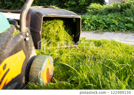 Freshly cut thick grass on the lawn, sunny day at sunset, low angle view. Green grass in the backyard, electric lawn mower 122989130