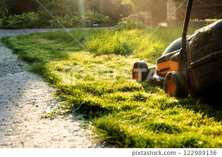 Freshly cut thick grass on the lawn, sunny day at sunset, low angle view. Green grass in the backyard, electric lawn mower 122989136