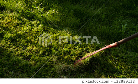 Green juicy grass on the lawn close-up at sunset. The border of the mown lawn. Green juicy grass on the lawn close-up at sunset. The border of the mown lawn. 122989138