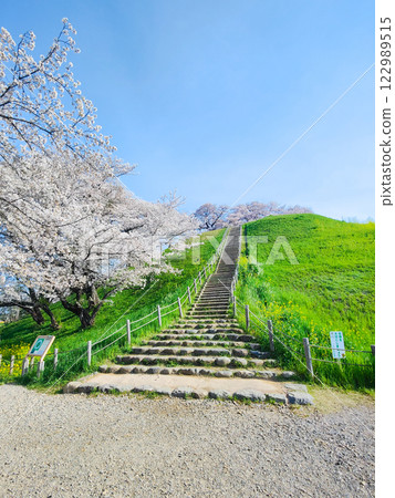 Marugameyama古墳（Sakitama Mound Tomb Park）的櫻花 122989515