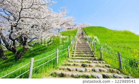 Marugameyama古墳（Sakitama Mound Tomb Park）的櫻花 122989541