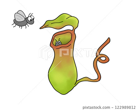 Carnivorous plant - pitcher plant - with insects 122989812