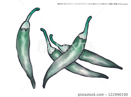 白色背景下淡色的辣椒、紅辣椒、辣椒、辣椒的水墨畫 122990190