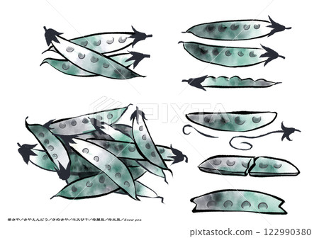 A calming ink painting of peas, snow peas, and snow peas with a white background 122990380