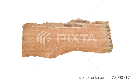 Torn piece of cardboard Paper with space for text. Torn cardboard isolated on white background. Banner with copy space. High quality photo. 122990717