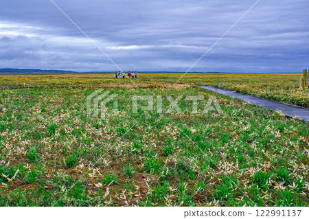 Sarobetsu原始花園 122991137