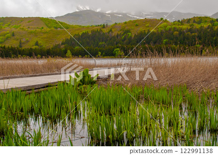 Otatomari marsh Otatomari marsh 122991138