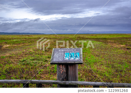 Sarobetsu Primeval Garden 122991268