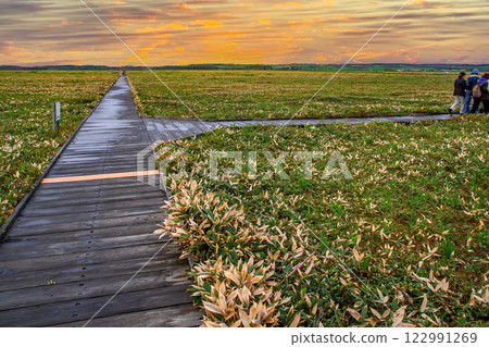 Sarobetsu Primeval Garden 122991269