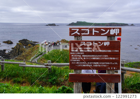 禮文島 禮文島 122991273