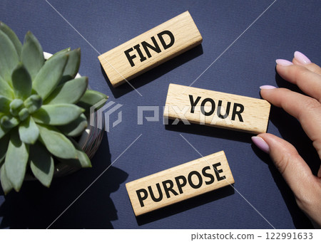 Find your Purpose symbol. Wooden blocks with words Find your Purpose. Businessman hand. Beautiful deep blue background with succulent plant. Business and Find your Purpose concept. Copy space. 122991633