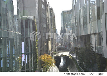 Shibuya, Tokyo cityscape 122991805