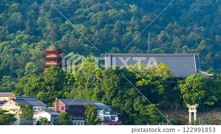 The grounds of Itsukushima Shrine, Hiroshima 122991853