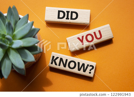 Did you know symbol. Wooden blocks with words Did you know. Beautiful orange background with succulent plant. Business and Did you know concept. Copy space. 122991943
