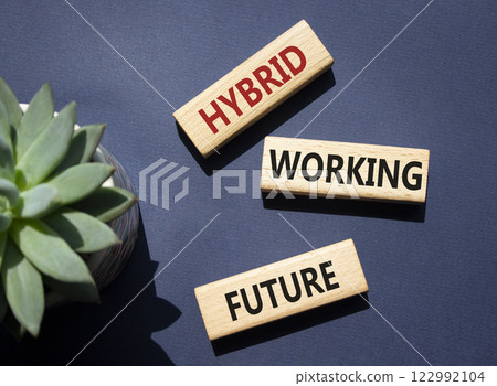 Hybrid Working Future symbol. Wooden blocks with words Hybrid Working Future. Beautiful deep blue background with succulent plant. Business concept. Copy space. Hybrid Working Future symbol. Wooden blocks with words Hybrid Working Future. Beautiful deep blue background with succulent plant. Business concept. Copy space. 122992104