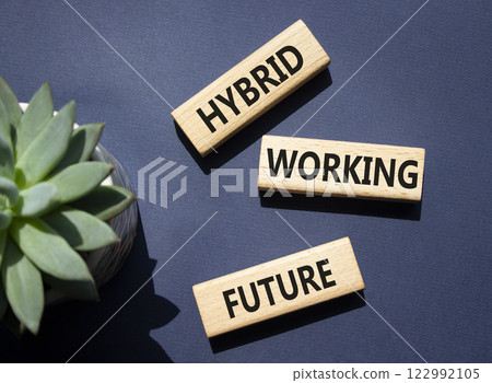 Hybrid Working Future symbol. Wooden blocks with words Hybrid Working Future. Beautiful deep blue background with succulent plant. Business concept. Copy space. 122992105