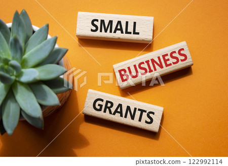 Small Business Grants symbol. Wooden blocks with words Small Business Grants. Beautiful orange background with succulent plant. Business and Contact us now concept. Copy space. 122992114