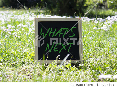 What is new symbol. Blackboard with words What is new. Beautiful meadow background. Business and What is new concept. Copy space. 122992145