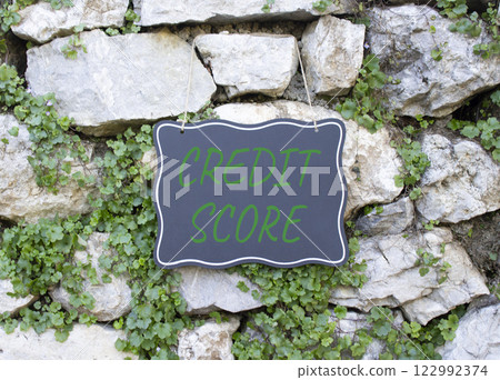Credit Score symbol. Stone wall with words Credit Score. Beautiful stone background with plant. Business and Credit Score concept. Copy space. 122992374
