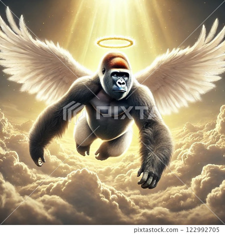 Gorilla flying in the sky 122992705