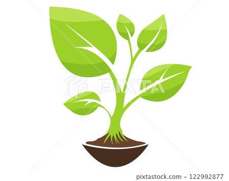 Vector illustration of a green plant growing from soil with multiple leaves and a strong stem 122992877